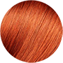 Very light intense copper blonde 